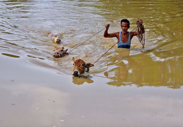 2530/Lũ lụt cô lập hàng triệu người dân Ấn Độ và Bangladesh