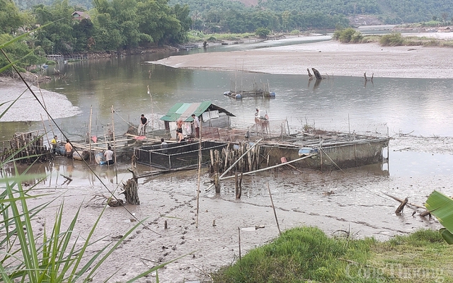 2441/Nghệ An: Hồ thủy điện cạn nước, hơn 370 kg cá lồng mất trắng