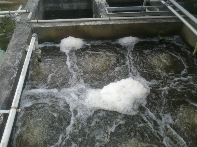 1148/Thí điểm xử lý nước thải sinh hoạt công nghệ Nhật Bản tại Hưng Yên