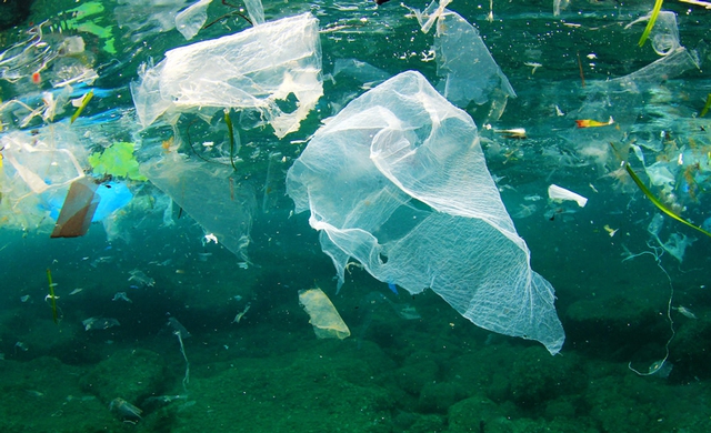 2587/WB Việt Nam cảnh báo ô nhiễm biển do rác thải nhựa