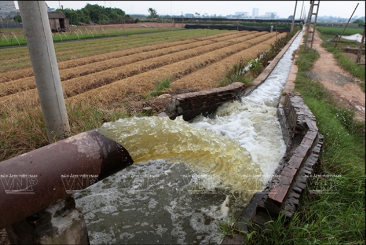 1210/Công nghệ mới xử lý nước tưới nông nghiệp bị nhiễm phèn