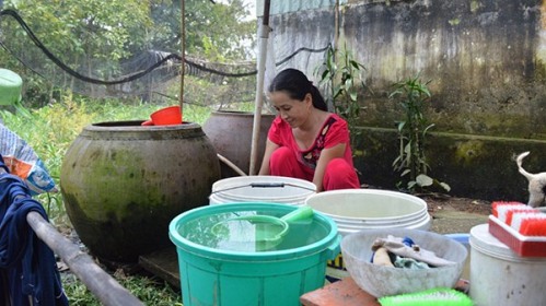 536/“Nhắm mắt” dùng nước sông ô nhiễm
