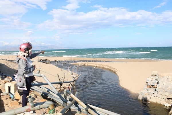 1838/Ninh Thuận: Nước thải từ các trại nuôi tôm “bức tử” môi trường biển