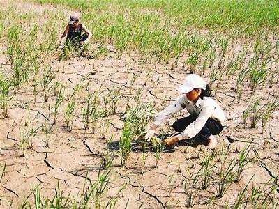 412/Adverse climate change affects in various fields in Vietnam: Experts
