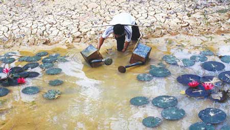 374/Mekong Delta faces major water crisis